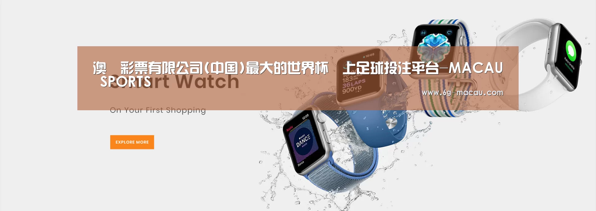 某某网络科技有限公司
