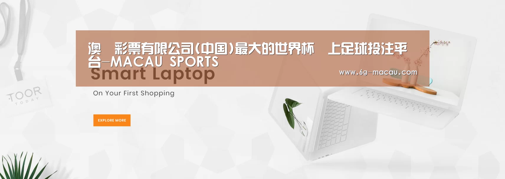 某某网络科技有限公司