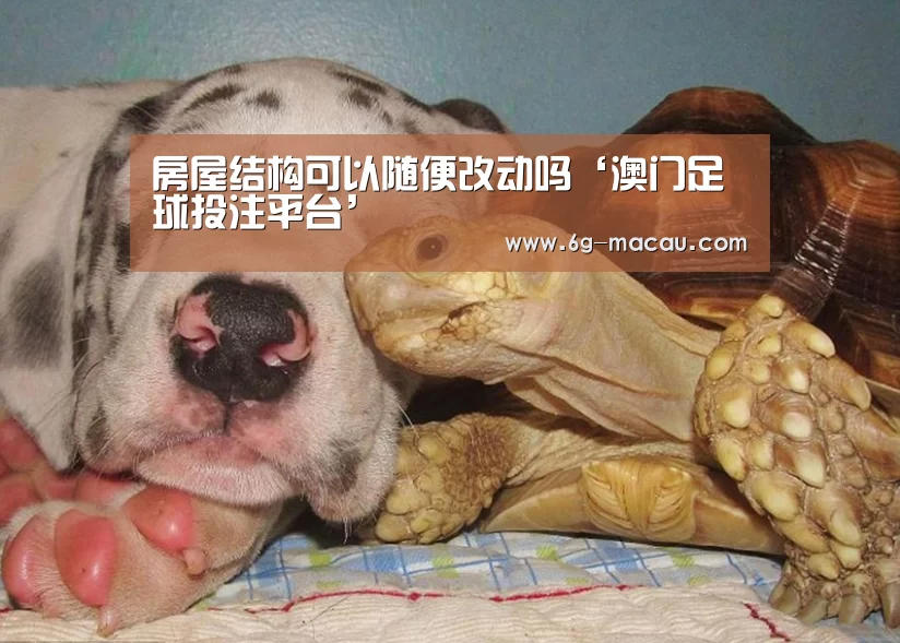 房屋结构可以随便改动吗‘澳门足球投注平台’(图3) 澳门足球直播押注地址